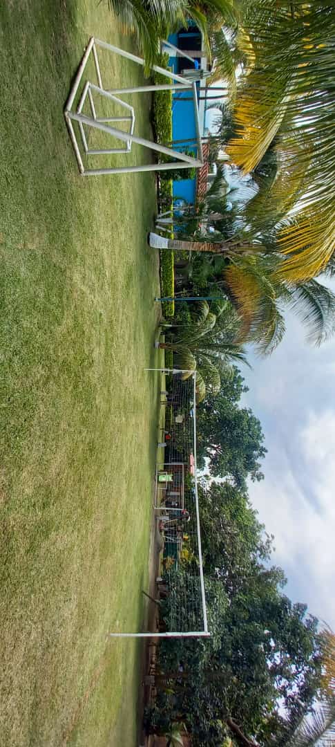 fincapalmerasfoto1