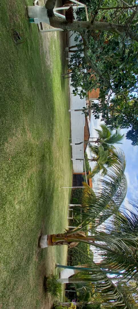 fincapalmerasfoto2